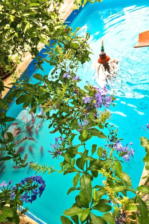 Casa Jazmin Hotel Orgiva Ngoại thất bức ảnh